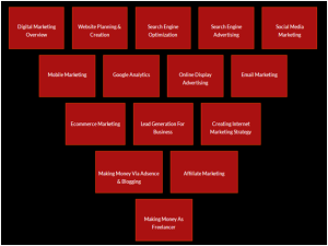 SEO and Digital Marketing Classes in Nagpur